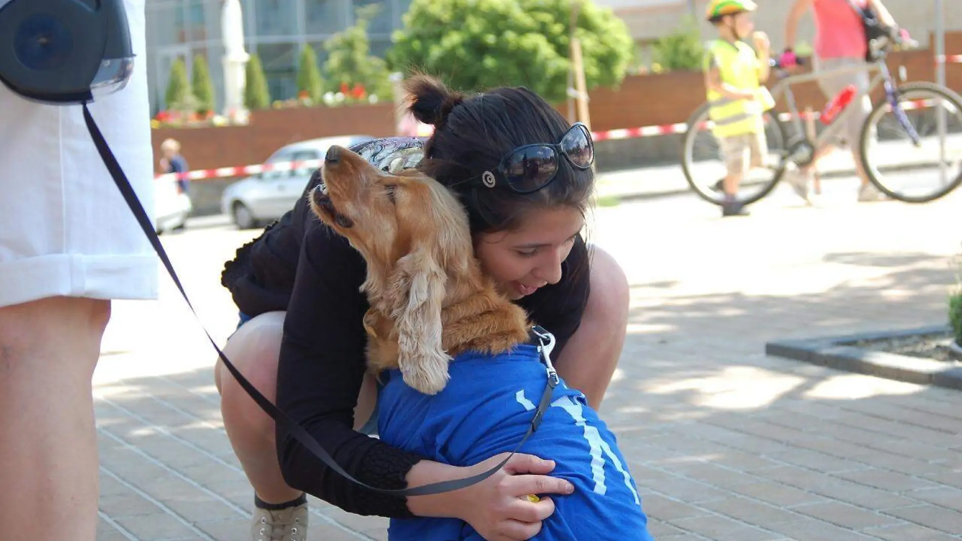 Perros de servicio para discapacitados